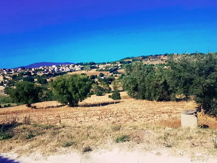 Immagine 5 di Terreno agricolo in vendita  in VIA BRAMANTE a Castelfidardo