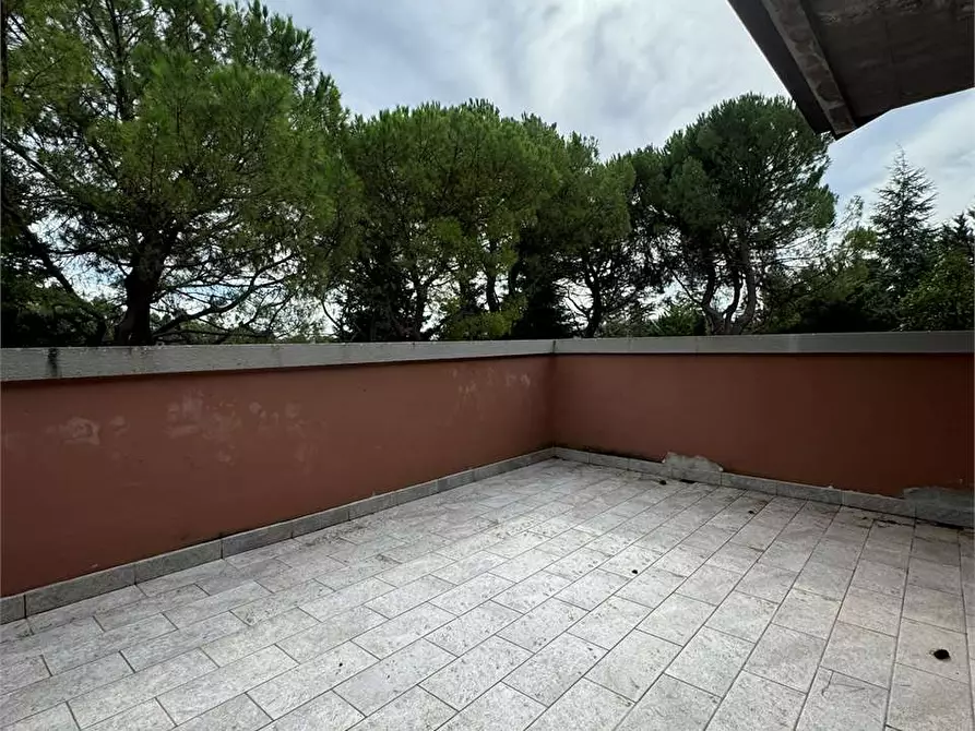 Immagine 9 di Villa in vendita  a Serra San Quirico