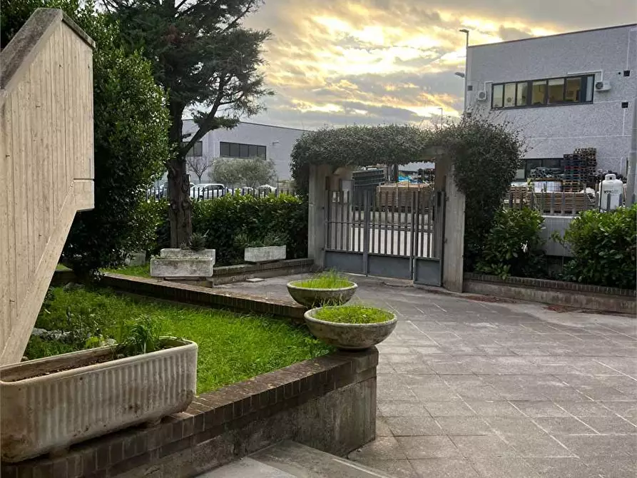 Immagine 6 di Ufficio in affitto  in via dell' artigiano  1 a Monte San Vito