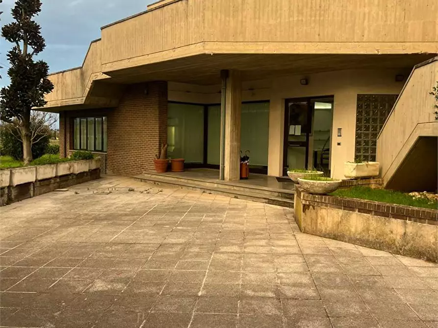 Immagine 3 di Capannone industriale in affitto  in via dell'artigianato 1 a Monte San Vito