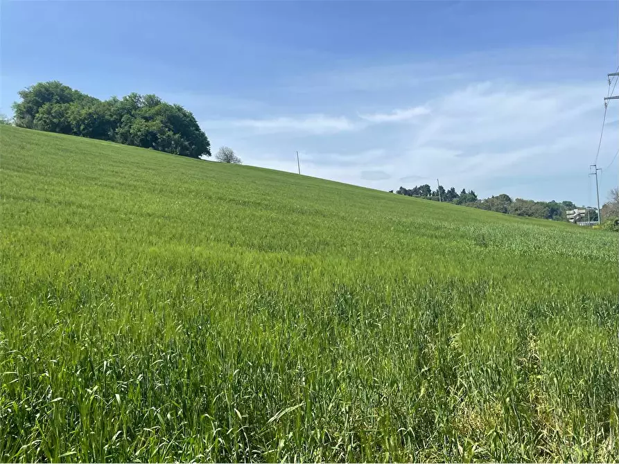 Immagine 5 di Terreno agricolo in vendita  in STRADA aspio snc a Ancona