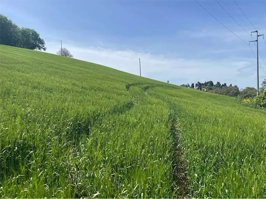 Immagine 6 di Terreno agricolo in vendita  in STRADA aspio snc a Ancona