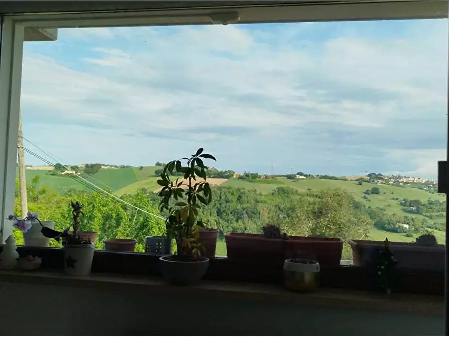 Immagine 4 di Villetta a schiera in vendita  a Agugliano