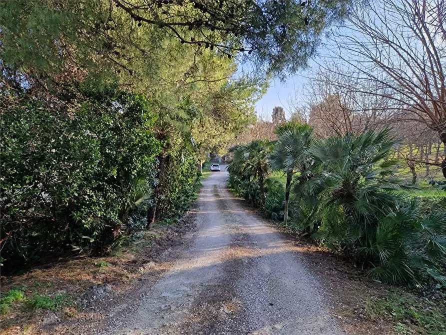 casa indipendente in vendita ad Ancona in zona Posatora