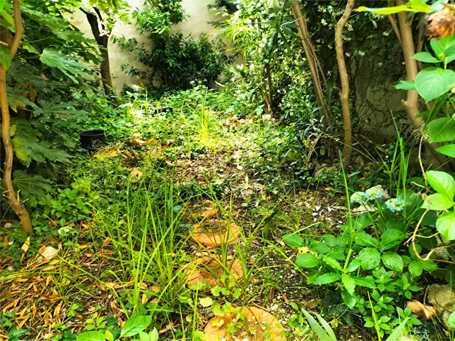 Immagine 4 di Appartamento in vendita  in via quarto a Falconara Marittima