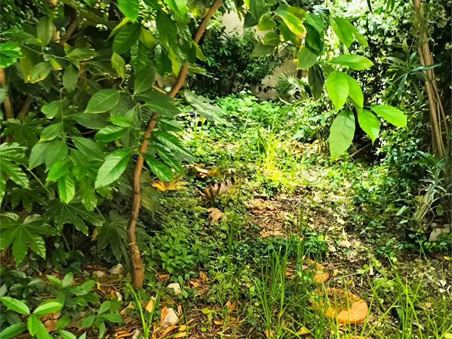 Immagine 6 di Appartamento in vendita  in via quarto a Falconara Marittima