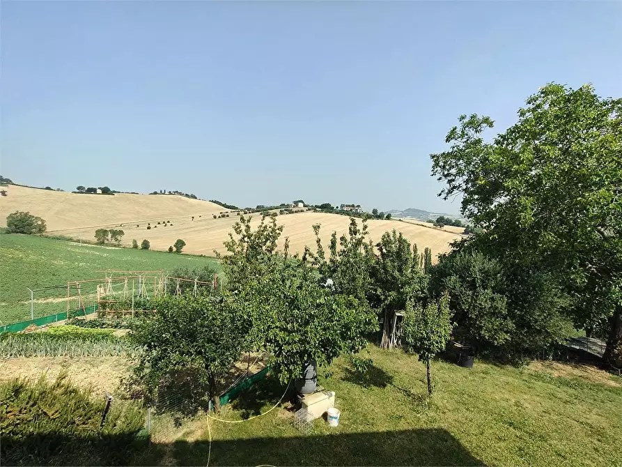 Immagine 11 di Casa indipendente in vendita  in via paradiso a Osimo