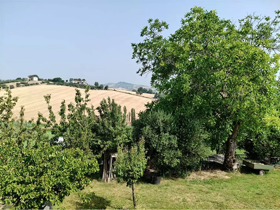 Immagine 14 di Casa indipendente in vendita  in via paradiso a Osimo