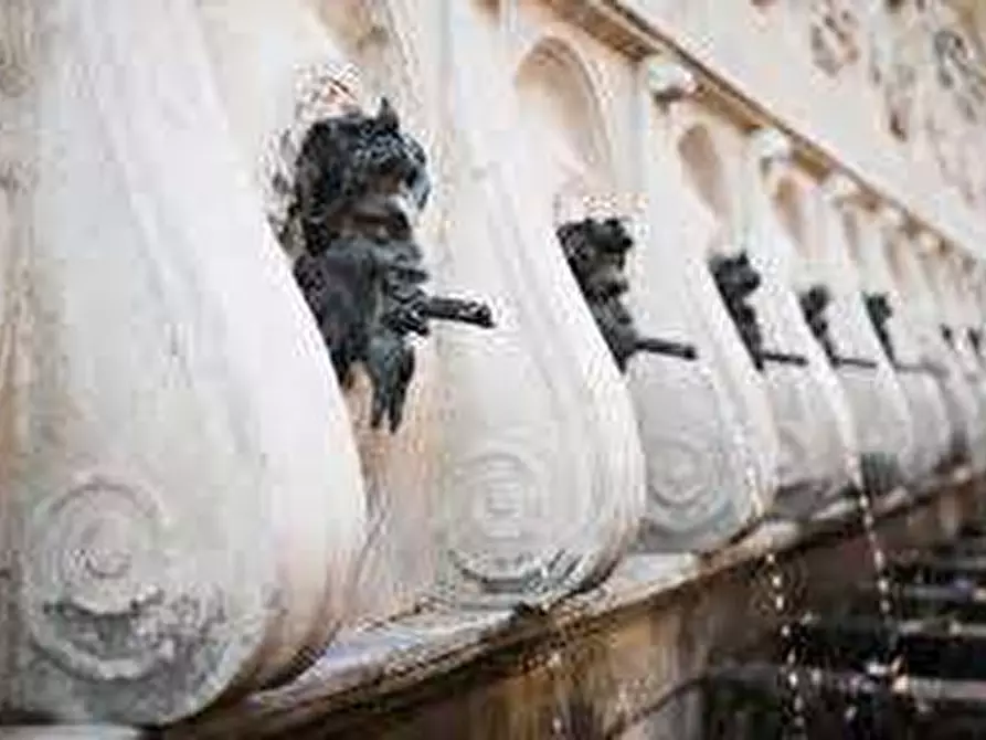 Immagine 6 di Quadrilocale in vendita  a Ancona