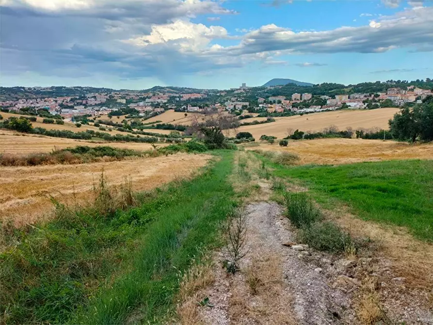 Immagine 5 di Rustico / casale in vendita  a Ancona