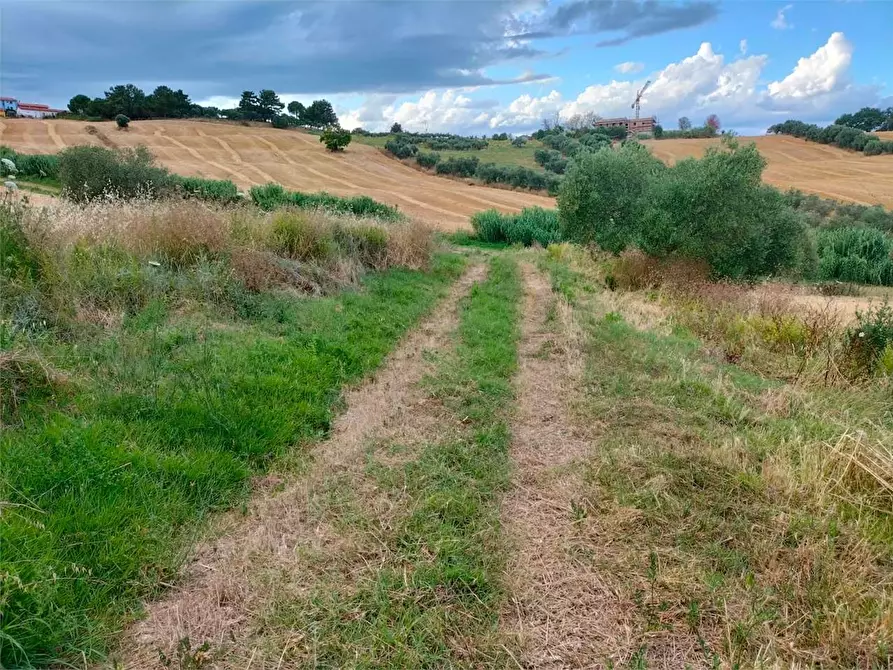 Immagine 16 di Rustico / casale in vendita  a Ancona