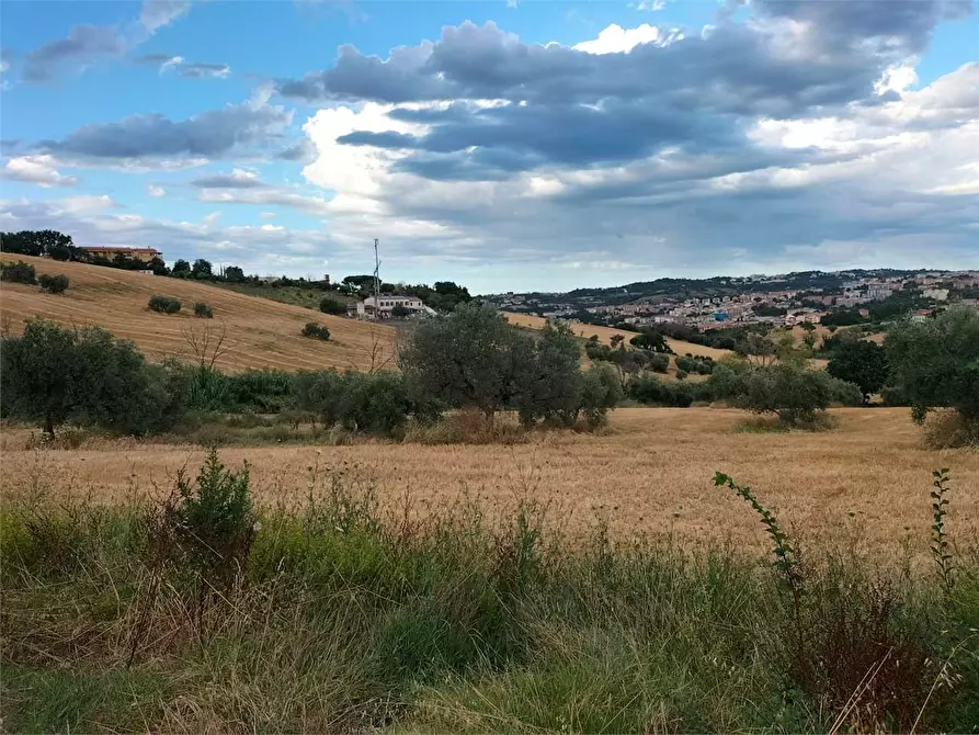 Immagine 17 di Rustico / casale in vendita  a Ancona