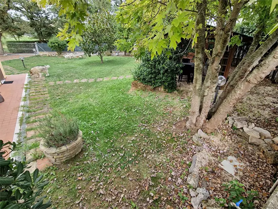quadrivano in vendita ad Ancona in zona Piano San Lazzaro