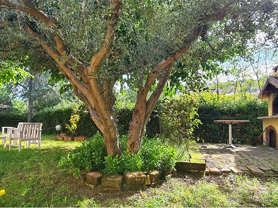 Immagine 7 di Casa indipendente in vendita  in VIA MASSA a Offagna