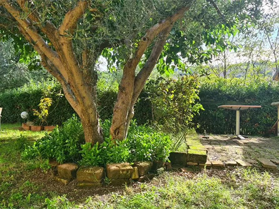 Immagine 11 di Casa indipendente in vendita  in VIA MASSA a Offagna