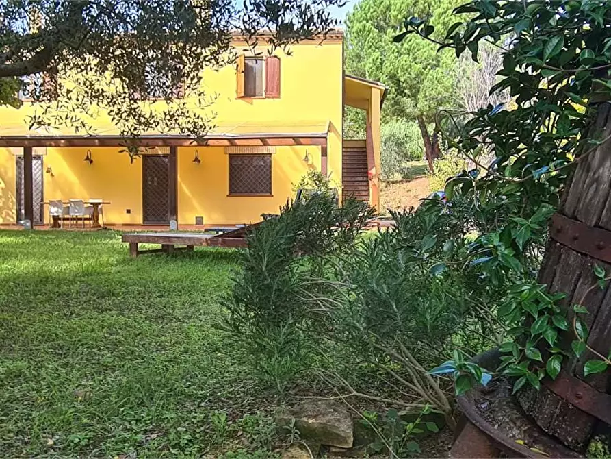 Immagine 10 di Casa indipendente in vendita  in VIA MASSA a Offagna