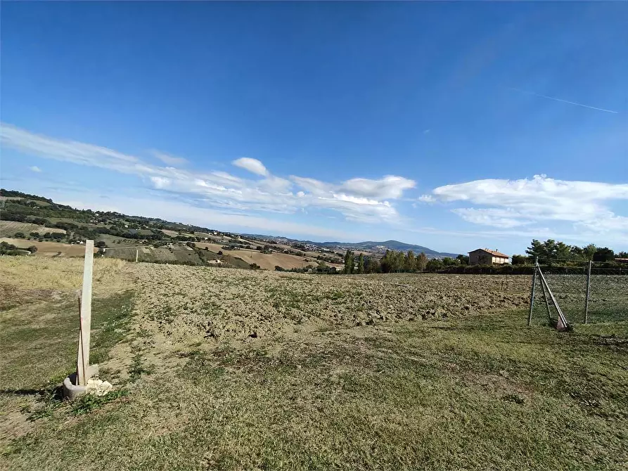 Immagine 6 di Terreno agricolo in vendita  in via Castagna a Osimo