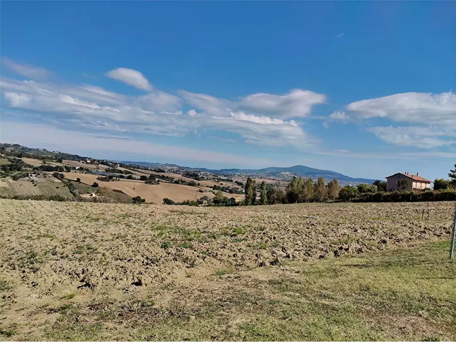 Immagine 4 di Terreno agricolo in vendita  in via Castagna a Osimo