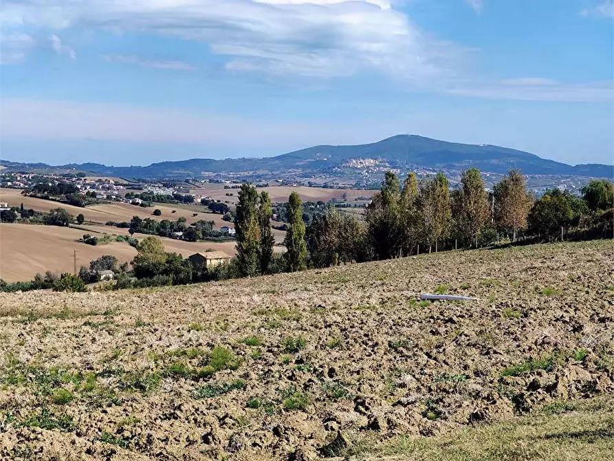 Immagine 7 di Terreno agricolo in vendita  in via Castagna a Osimo