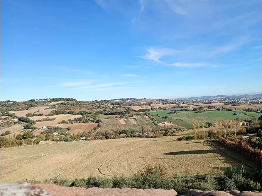 Immagine 1 di Terreno agricolo in vendita  in via Castagna a Osimo