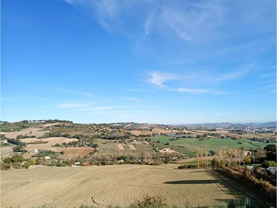 Immagine 3 di Terreno agricolo in vendita  in via Castagna a Osimo