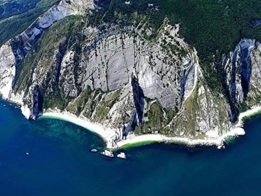 Immagine 7 di Negozio in affitto  a Ancona