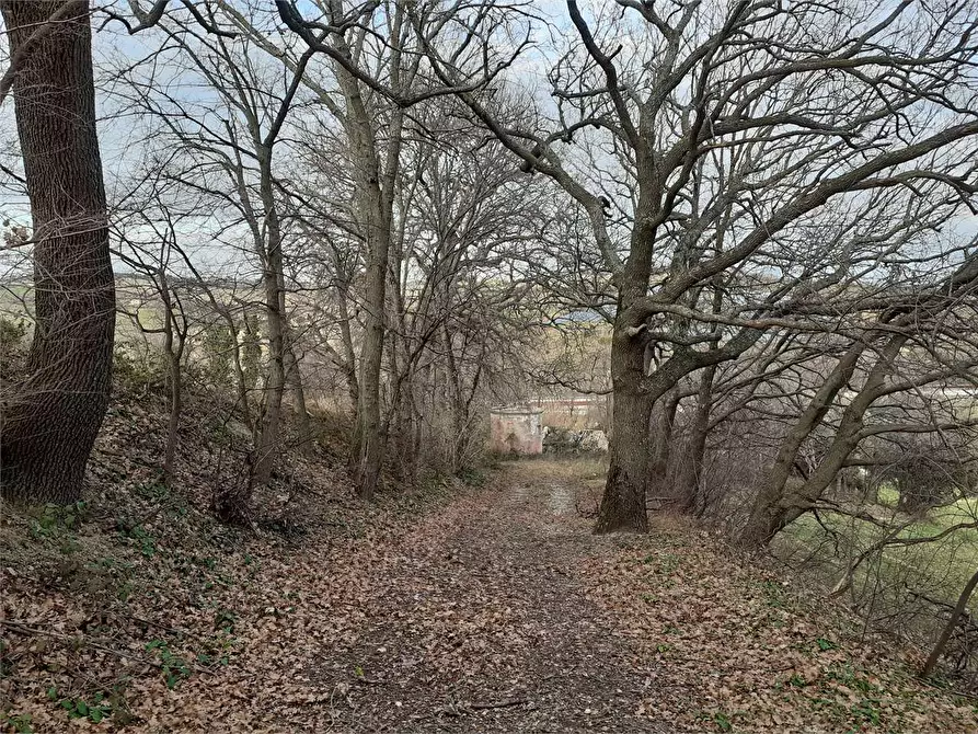 Immagine 4 di Casa indipendente in vendita  in via saline a Ancona
