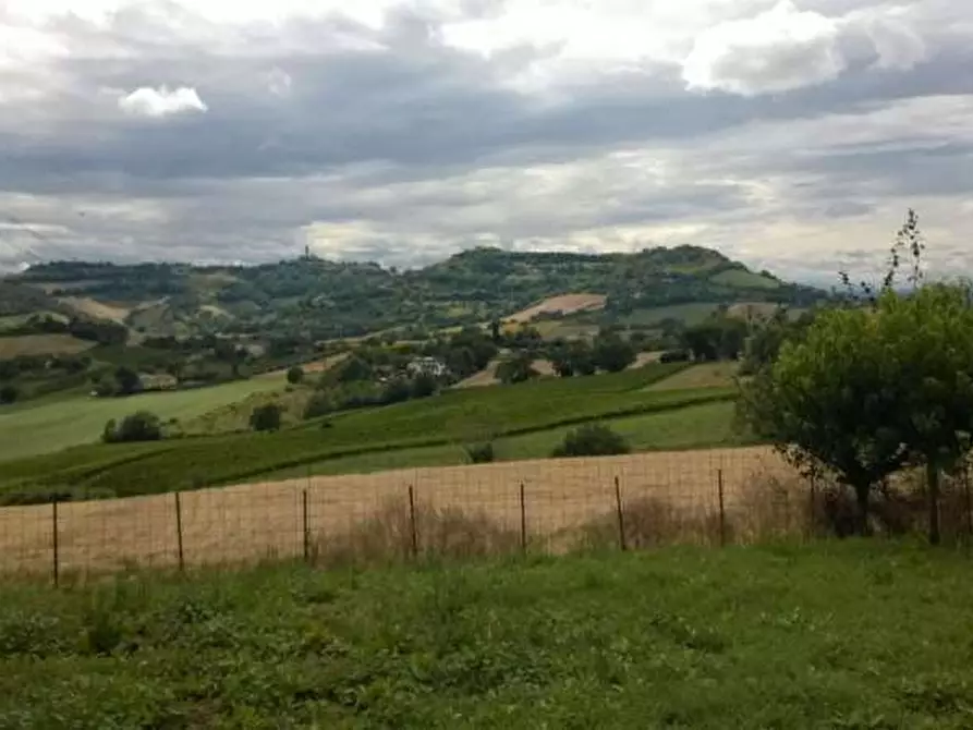 Immagine 1 di Casa indipendente in vendita  in CANDIA a Ancona