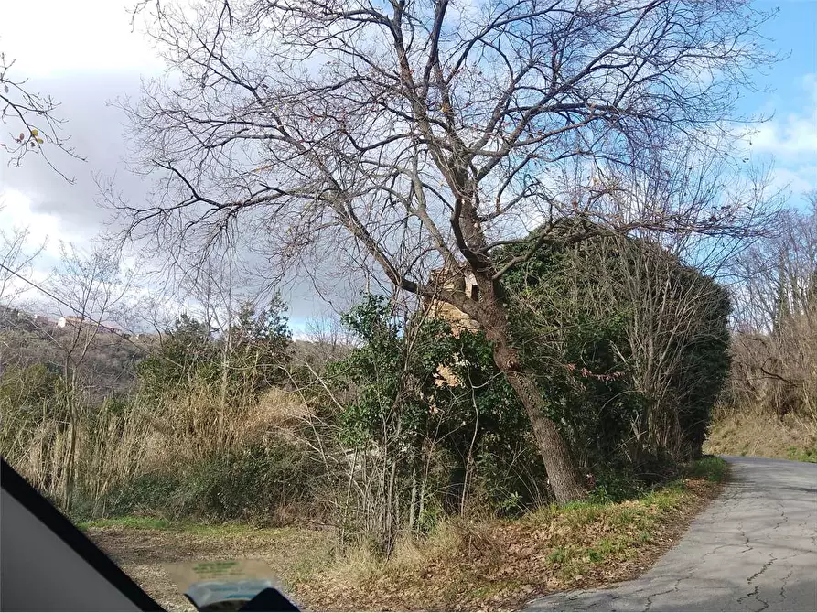 Immagine 5 di Rustico / casale in vendita  a Castelplanio