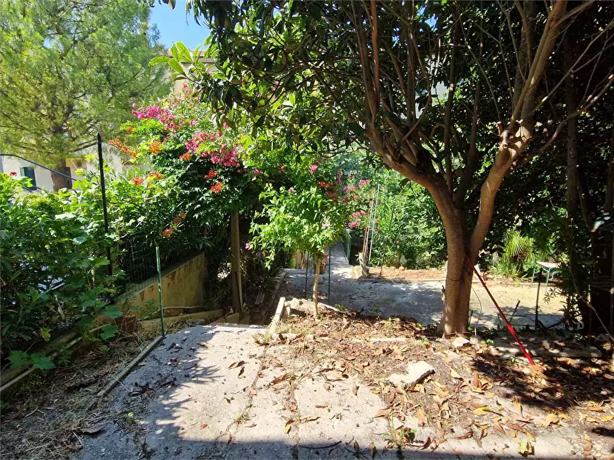 Immagine 1 di Quadrilocale in vendita  in Via Volturno  6 a Ancona