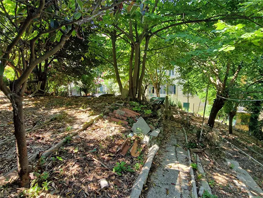 Immagine 4 di Quadrilocale in vendita  in Via Volturno  6 a Ancona