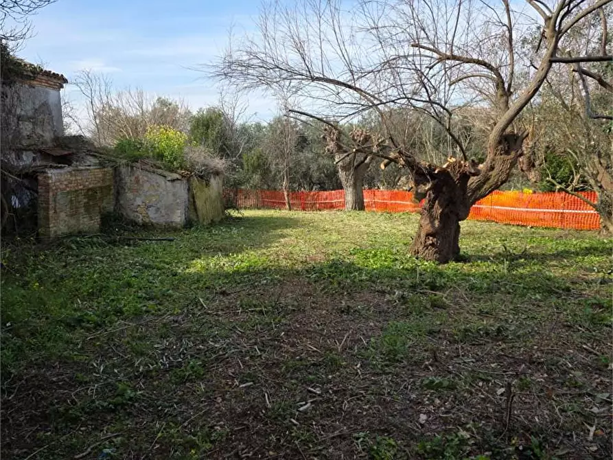 Immagine 9 di Casa indipendente in vendita  a Ancona