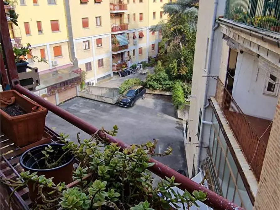 Immagine 3 di Quadrilocale in vendita  in matteotti 117 a Ancona