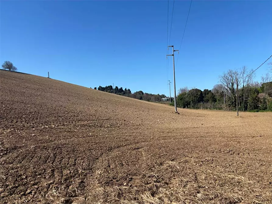 Immagine 8 di Terreno agricolo in vendita  in STRADA aspio snc a Ancona