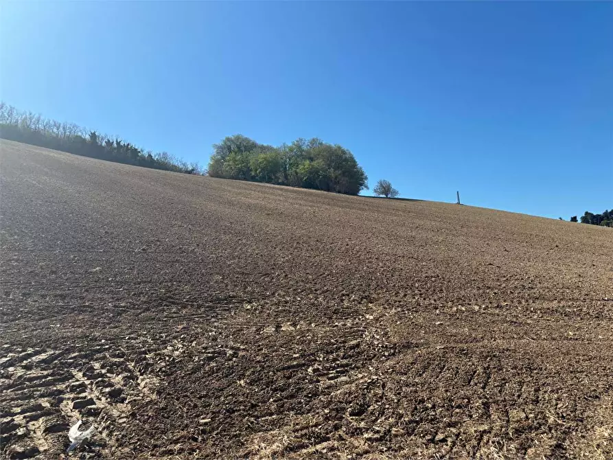 Immagine 7 di Terreno agricolo in vendita  in STRADA aspio snc a Ancona