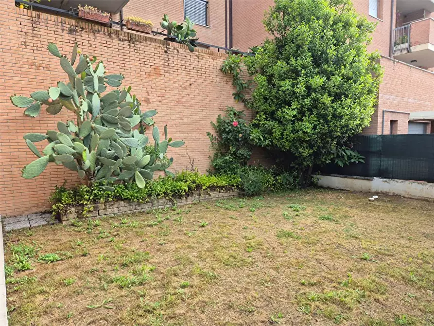 Immagine 23 di Trilocale in vendita  a Ancona