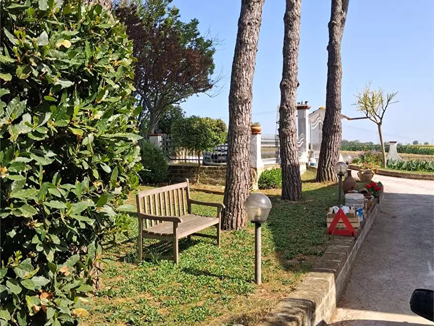 Immagine 3 di Casa indipendente in vendita  a Ancona