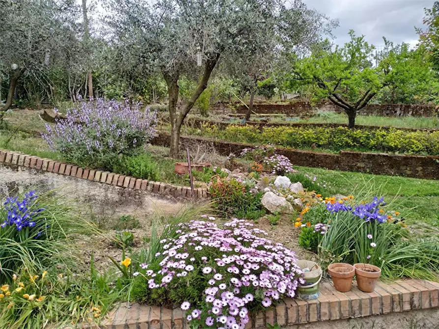 Immagine 9 di Porzione di villa in vendita  a Agugliano