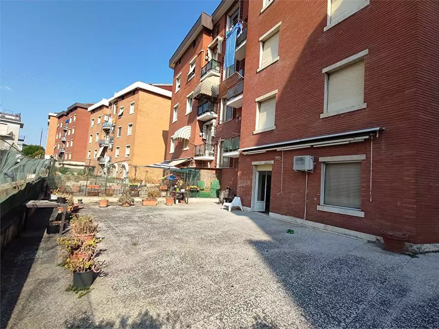 Immagine 17 di Quadrilocale in affitto  a Ancona