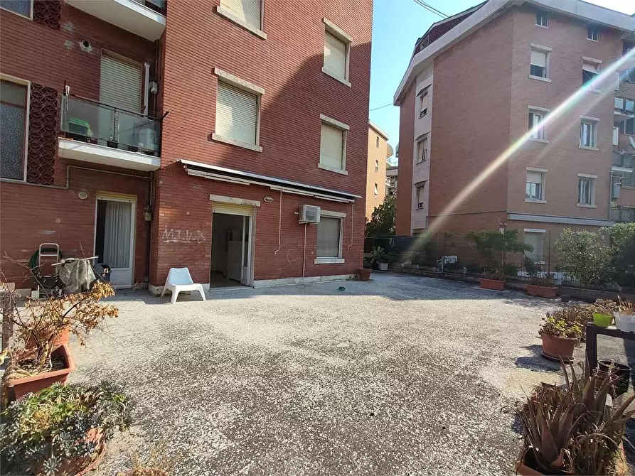 Immagine 18 di Quadrilocale in affitto  a Ancona