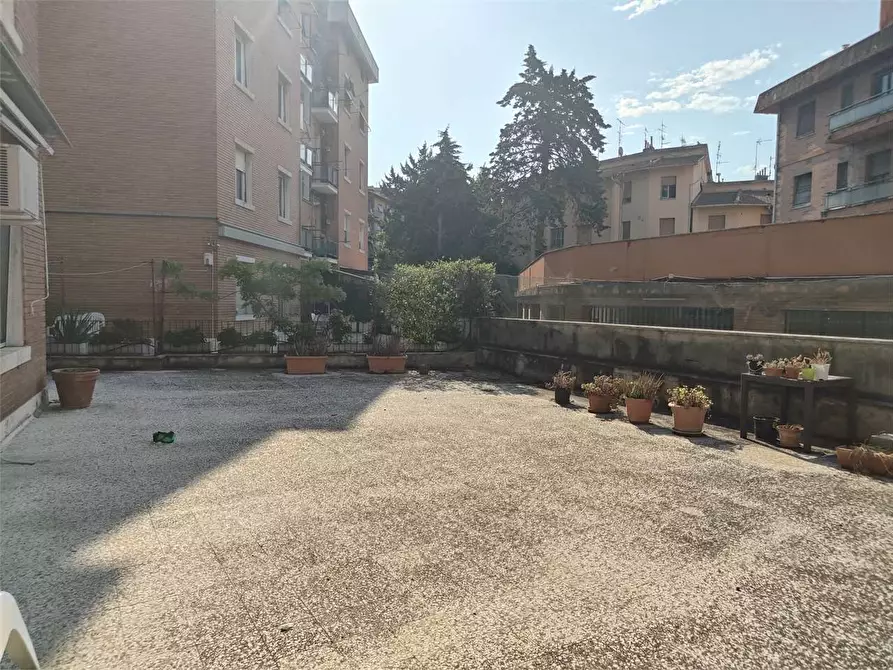 Immagine 15 di Quadrilocale in affitto  a Ancona