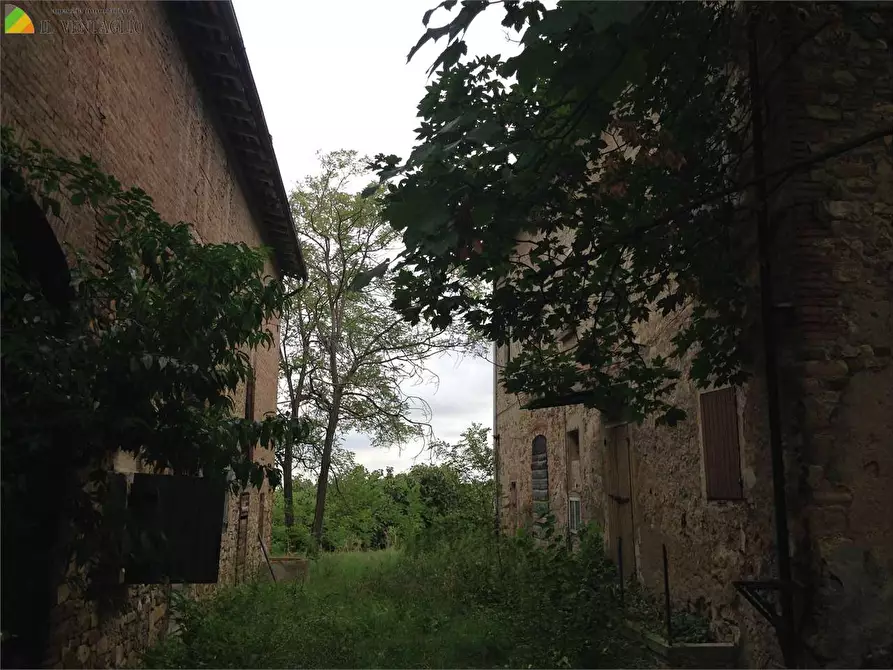 Immagine 12 di Villa in vendita  a Casalgrande