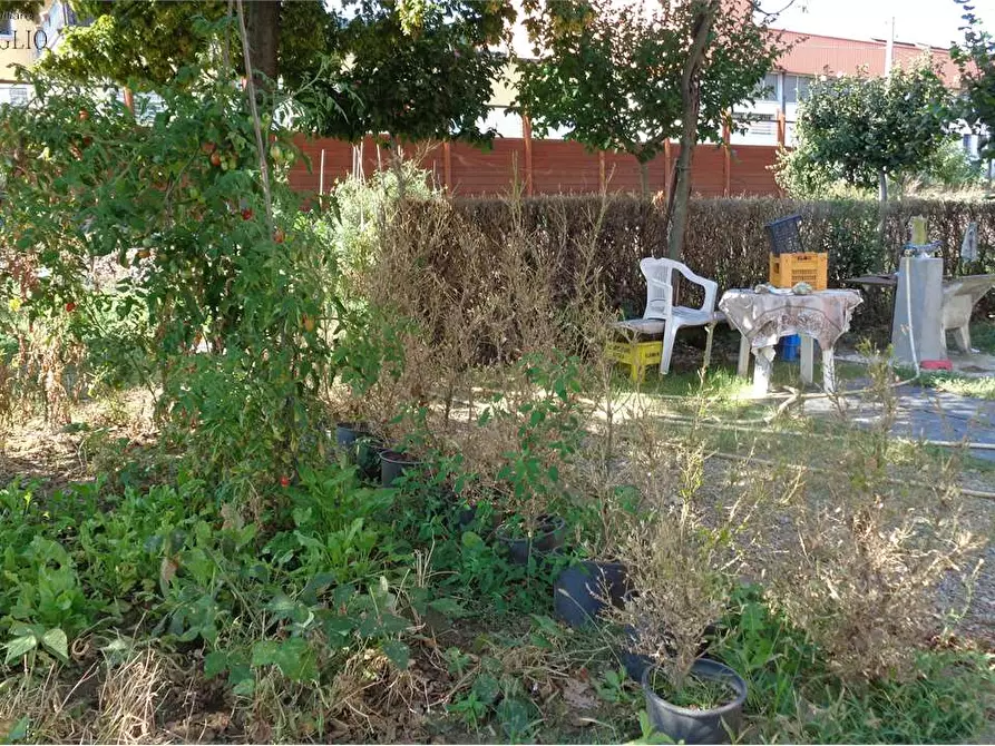 Immagine 8 di Terreno edificabile in vendita  a Casalgrande