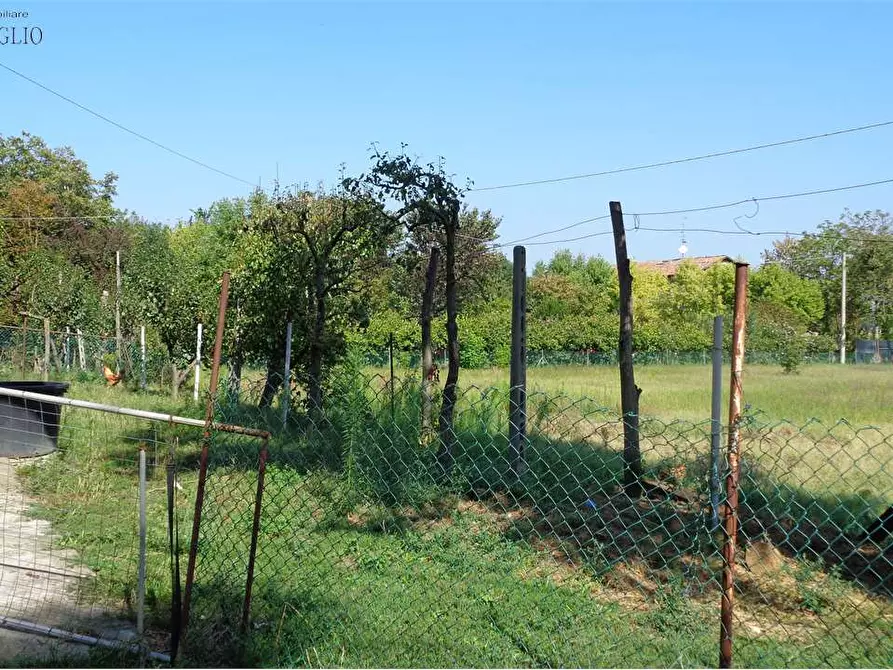 Immagine 4 di Terreno edificabile in vendita  a Casalgrande