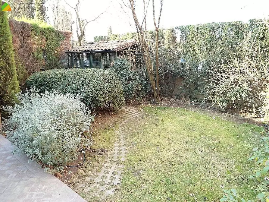 Immagine 11 di Trilocale in affitto  a Sassuolo