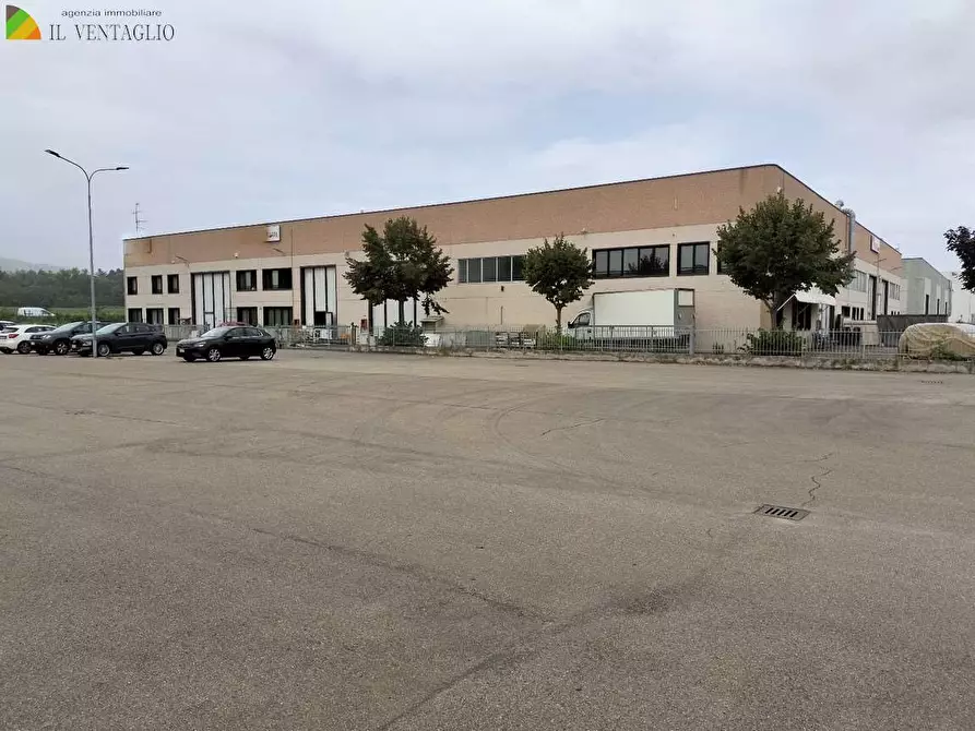 Immagine 1 di Capannone industriale in vendita  a Casalgrande