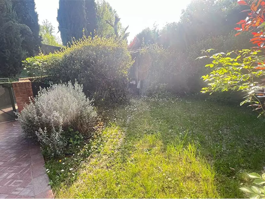 Immagine 4 di Trilocale in affitto  a Sassuolo