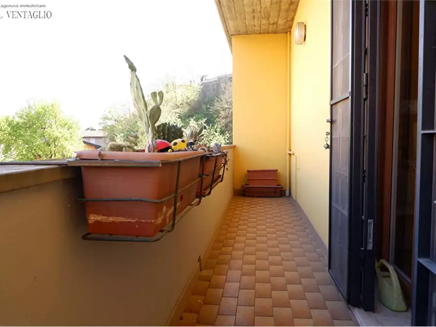 Immagine 6 di Trilocale in vendita  a Castellarano