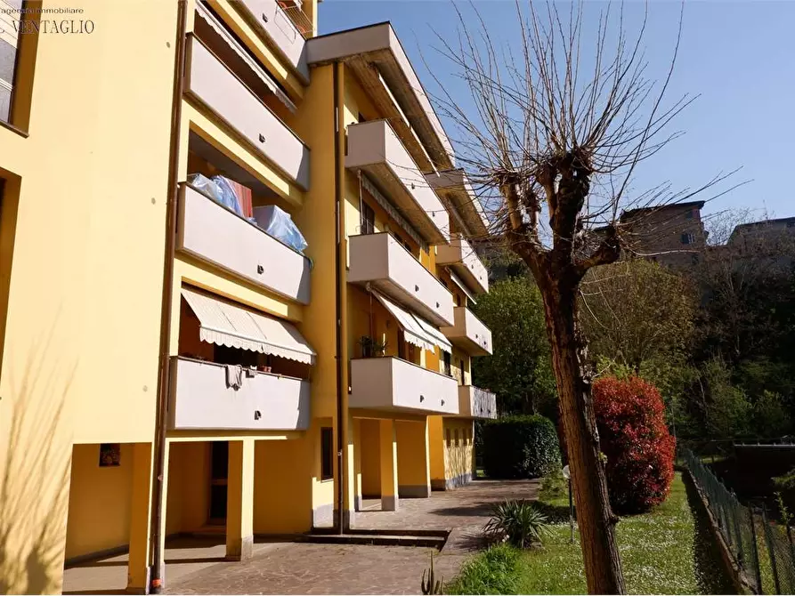 Immagine 1 di Trilocale in vendita  a Castellarano