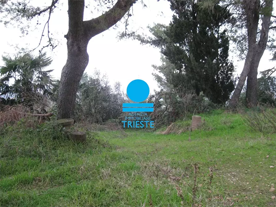 Immagine 7 di Rustico / casale in vendita  a Pesaro